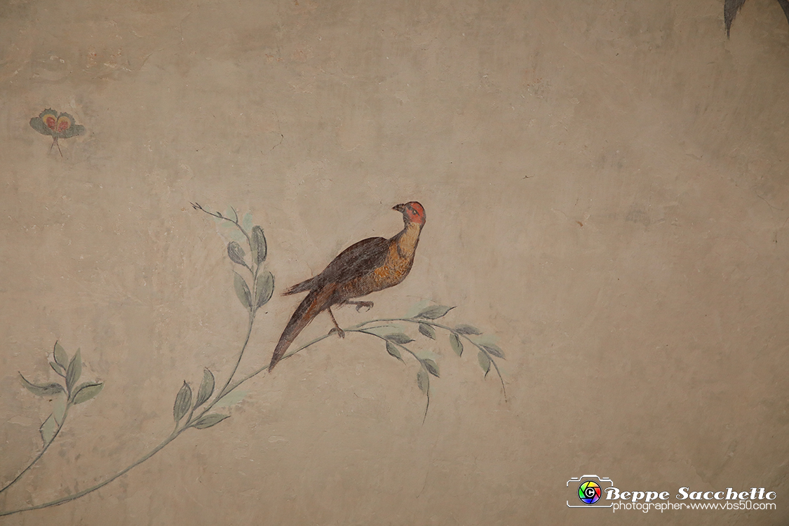 VBS_1183 - Castello di Miradolo - Mostra Oltre il giardino l'Abbecedario di paolo Pejrone.jpg